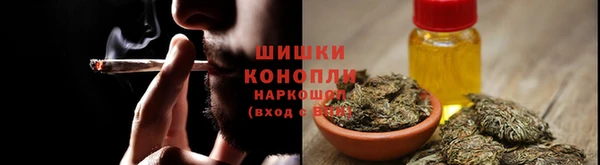амф Балахна