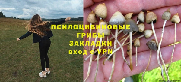 амф Балахна