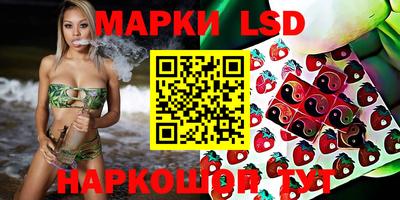 apvp Беслан