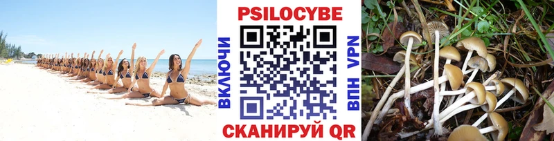 Галлюциногенные грибы мицелий  сайты даркнета официальный сайт  Бор 